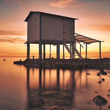 Suite La Marinella Localita Caccia Riserva Santa Marinella Ngoại thất bức ảnh